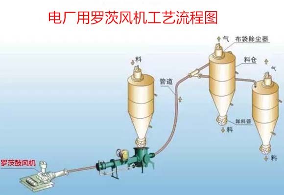 电厂用罗茨鼓国产午夜精品视频案例