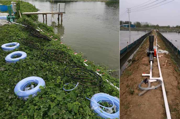 水产养殖罗茨国产午夜精品视频 水产养殖罗茨国产午夜精品视频