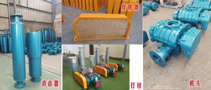 三叶罗茨国产午夜精品视频（皮带型）实拍