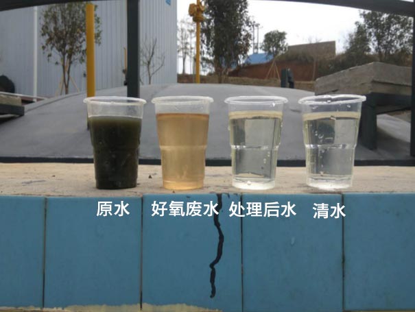 污水曝气罗茨鼓国产午夜精品视频应用案例 污水曝气罗茨鼓国产午夜精品视频应用案例